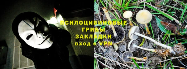 эйфоретик Надым
