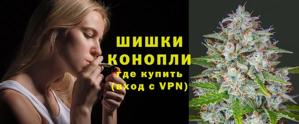 эйфоретик Надым