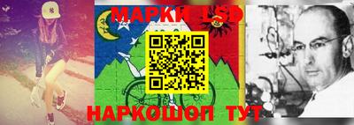 дживик Кандалакша