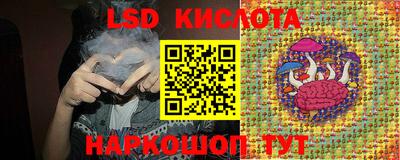 дживик Кандалакша