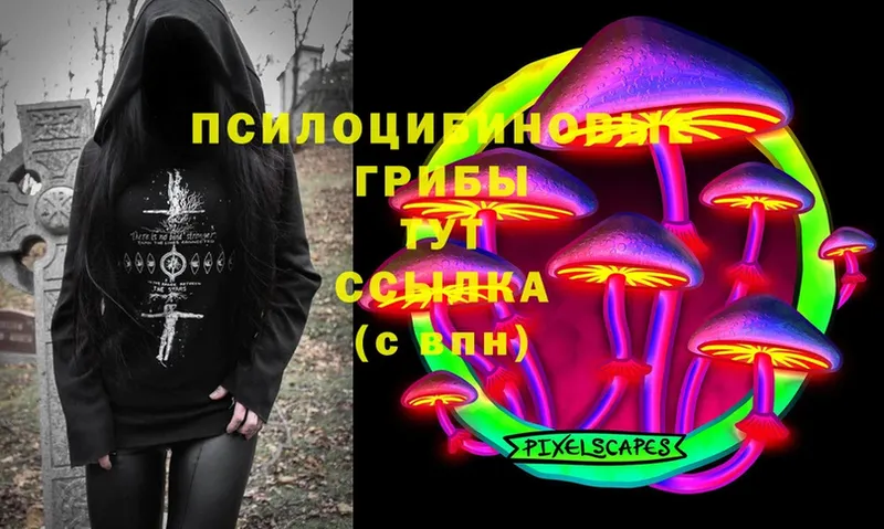 Галлюциногенные грибы Psilocybe  хочу   blacksprut ссылка  Ялта 