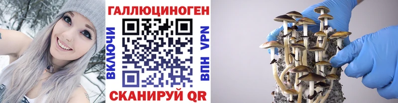 наркошоп  Ялта  Псилоцибиновые грибы мицелий 
