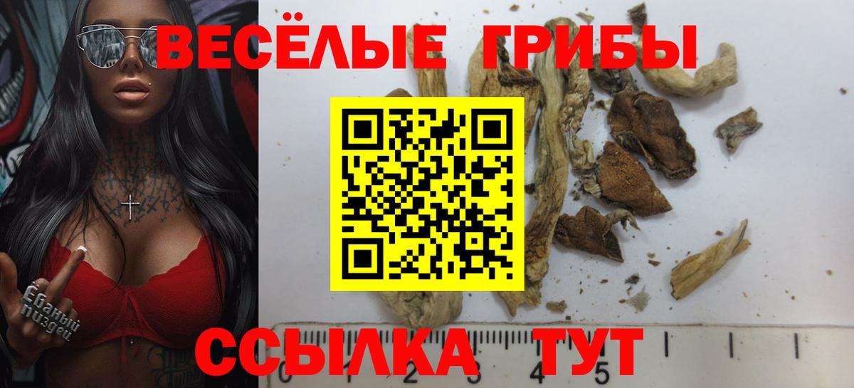 Ялта  Галлюциногенные грибы Psilocybine cubensis  Вход с VPN 